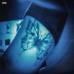 BUTTERFLY X Pooriducer