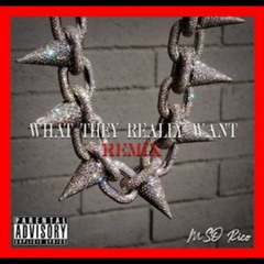 MSO Rico - What They Really Want(remix)