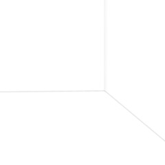 Within The White Space