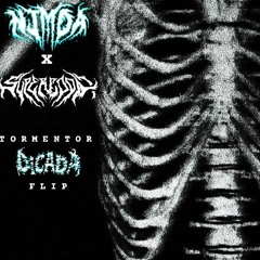 NIMDA x SUPERCOOL! - TORMENTOR (DICADA EDIT) [FREE DL]