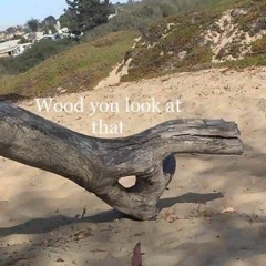 Wood You Look At That