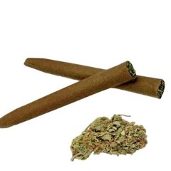 hit my lungs prod zoot