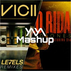 Levels (Skrillex Remix) x Wild Ones [Y/\Y/\ Mashup]