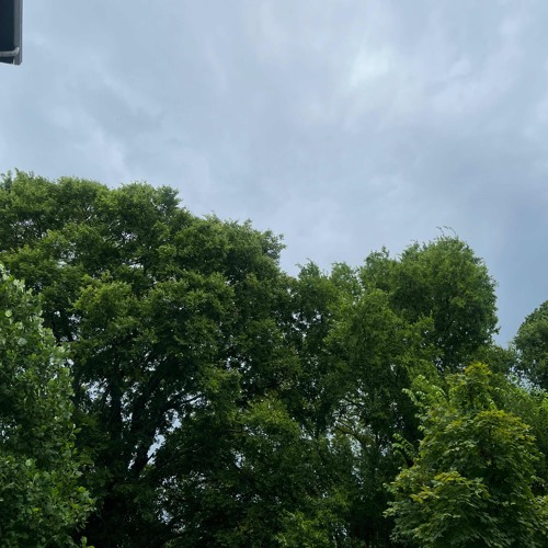 THE WAY WE ARE V.1 (veins before vampa)