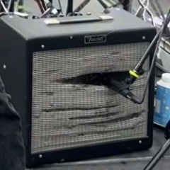 wild horses (huddog cover)