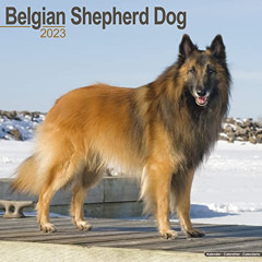 [FREE] EPUB 🎯 Belgian Shepherd Calendar - Dog Breed Calendars - 2022 - 2023 wall cal