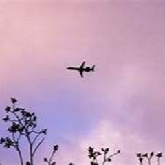 Purple Planes (Demo)