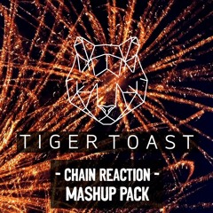Tiger Toast 'Chain Reaction' Mashup Pack (2022) [18 Tracks]
