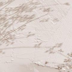 আবছায়াটাই লাগছে ভালো