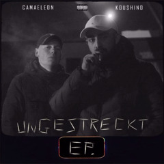 Koushino x Camaeleon - Nachts nie da