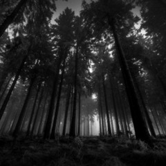 Я хочу что бы меня...