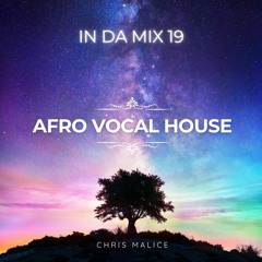 IN DA MIX #19 | Afro Vocal House | feat. Maxic, Blue Zenith, Raffa Guido & more