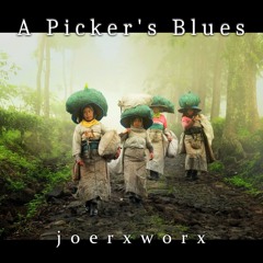 A Picker's Blues