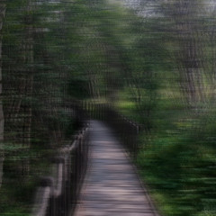 into the woods // 144-158 bpm