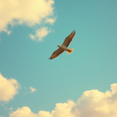 Medzi nebom a Zemou Vol 2