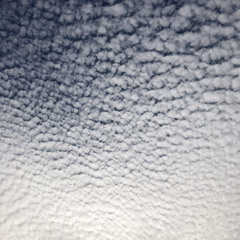 Saharaa @Bina 030322