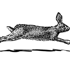 RUN Rabbit Run - Massive ( Psychedelic Trance )