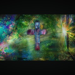 OM SOL (4)