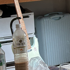 想いやれ、夏を。