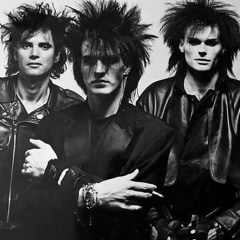 Black Agent - Assimilate (Skinny Puppy cover)