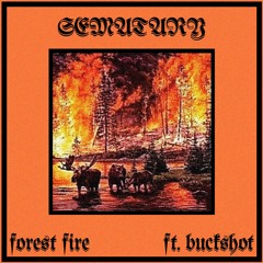 SEMATARY - FOREST FIRE FT. BUCKSHOT (SLOWED)