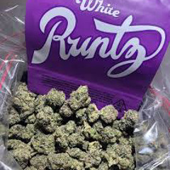 A2 x PGuxpo -RUNTZ