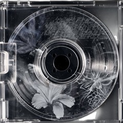 What she like - prod. Brocyl x LazerMade