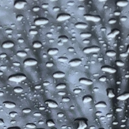 BLAH w/sareini (until)