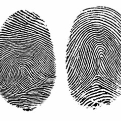 Primary Patterns