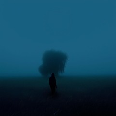 evoī - woe