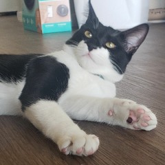 105th Dungeon (First Contact)