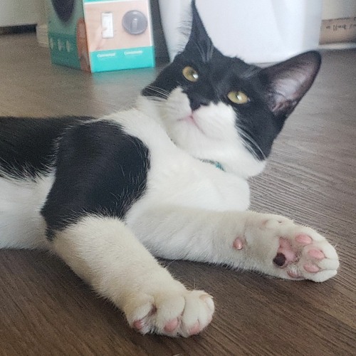 105th Dungeon (First Contact)