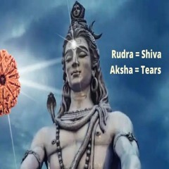 5 Powerful Benefits of Wearing Rudraksha