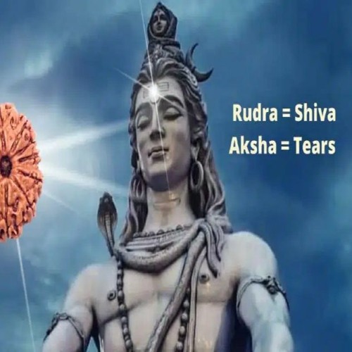 5 Powerful Benefits of Wearing Rudraksha