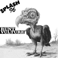 Runt Vulture