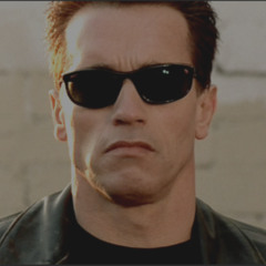 TERMINATOR EDIT EXT