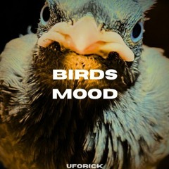 UFORICK - Birds Mood