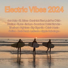 Electric Vibes 2024