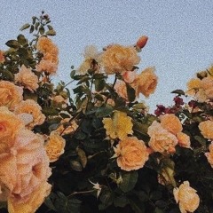 عتابك حلو - ابوبكر سالم