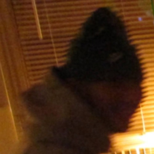 ive given all I can to u