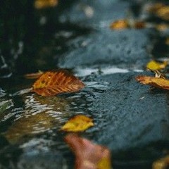 Life Is So Bittersweet