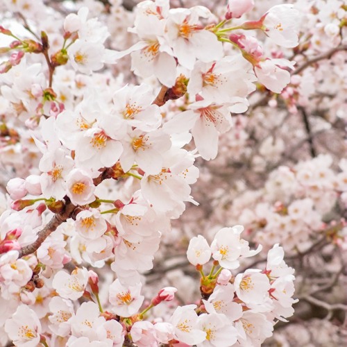 난 슬프지 않아