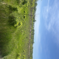 scenic route (prod. kidphxntom)