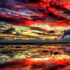 Together Feat. tokahontaas