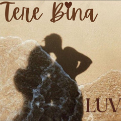 TERE BINA WAV final.wav