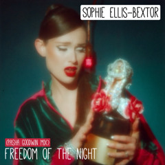 Sophie Ellis-Bextor - Freedom of the night (Pasha Goodwin mix)