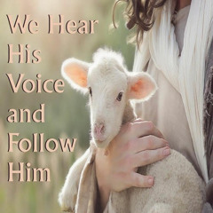 We Hear His Voice and Follow Him - May 11, 2025