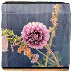 Autumnal Beatz (DH01)