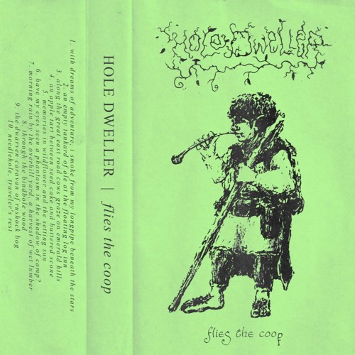 Hole Dweller - Flies The Coop I (2019)