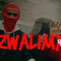 SPUST3R - ZWALIMY SE KONIA (OFFICIAL MUSIC VIDEO)